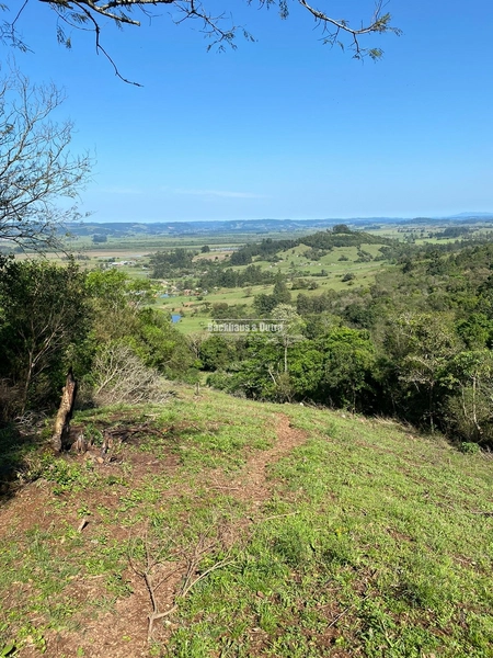 Santo Antônio da Patrulha- 33 hectares- 1 km do asfalto: 22ª foto da galeria de imagens do imóvel