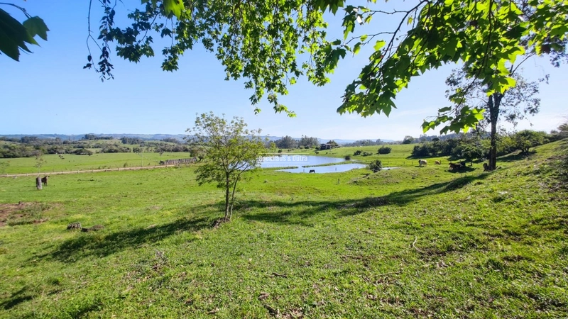 Santo Antônio da Patrulha- 33 hectares- 1 km do asfalto: 9ª foto da galeria de imagens do imóvel