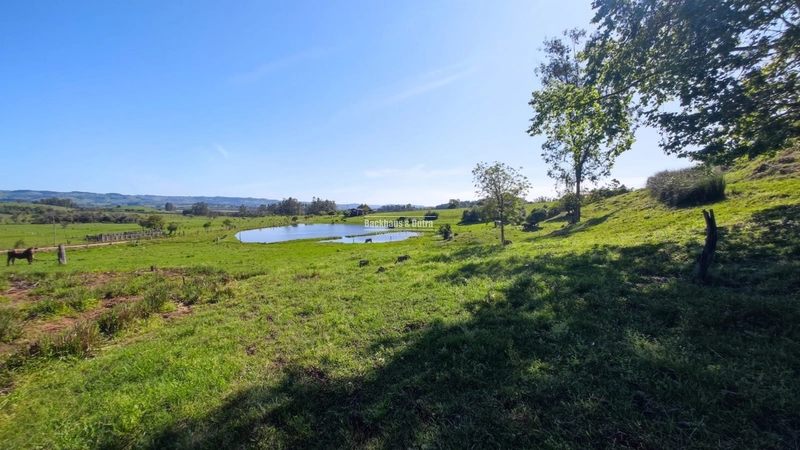 Santo Antônio da Patrulha- 33 hectares- 1 km do asfalto: 6ª foto da galeria de imagens do imóvel