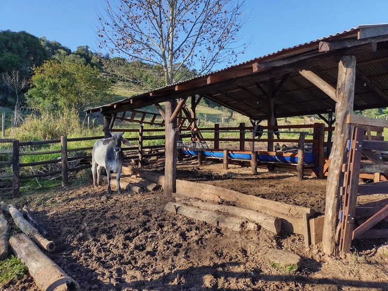 Santo Antônio da Patrulha- 33 hectares- 1 km do asfalto: 31ª foto da galeria de imagens do imóvel