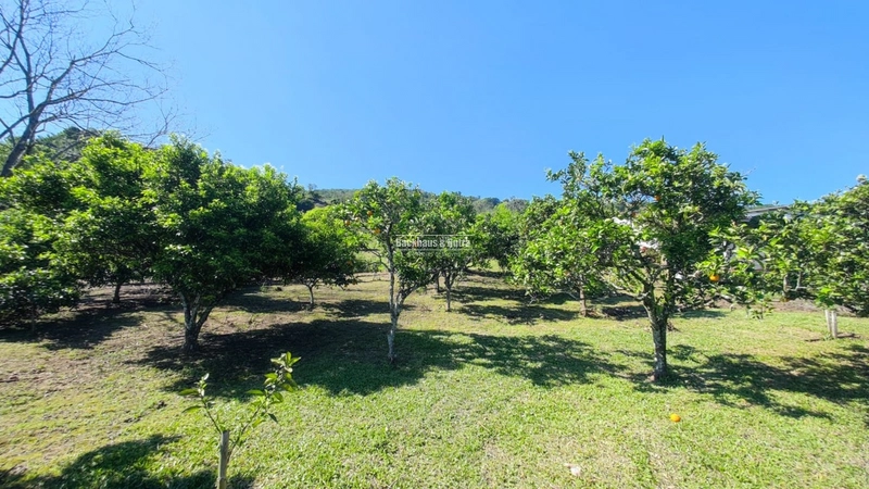 Santo Antônio da Patrulha- 33 hectares- 1 km do asfalto: 4ª foto da galeria de imagens do imóvel