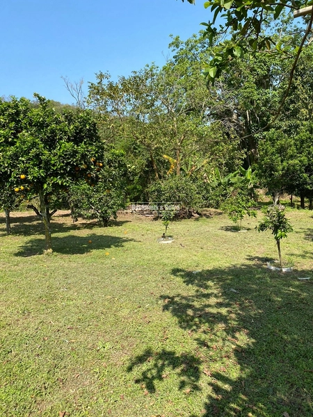 Santo Antônio da Patrulha- 33 hectares- 1 km do asfalto: 18ª foto da galeria de imagens do imóvel