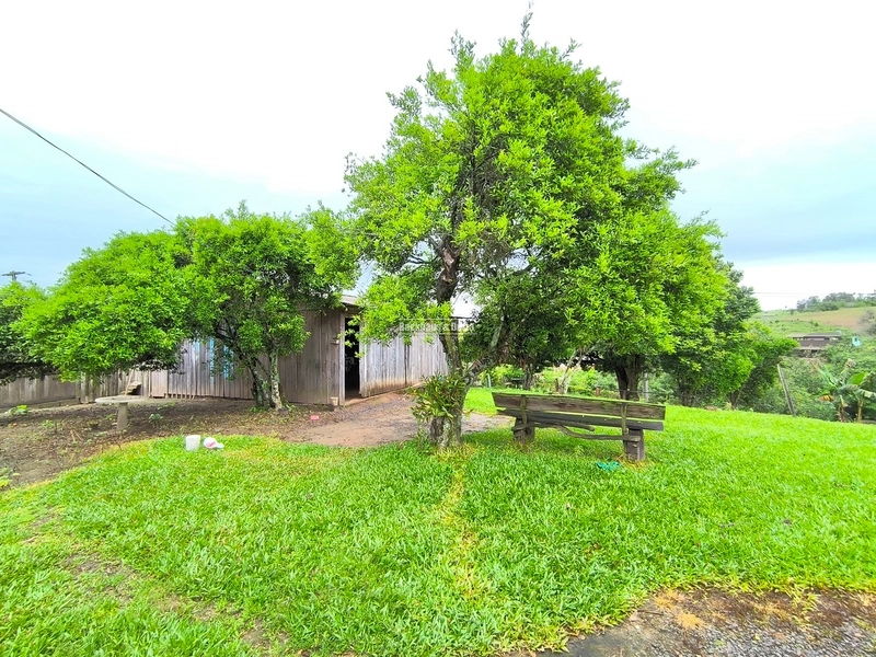 TAQUARA - CHÁCARA 1500 M2 COM CASA 120 M2 - MOQUEM: 11ª foto da galeria de imagens do imóvel
