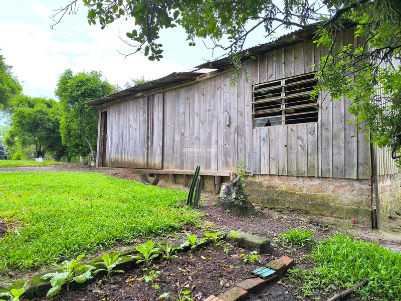 TAQUARA - CHÁCARA 1500 M2 COM CASA 120 M2 - MOQUEM: 4ª foto da galeria de imagens do imóvel