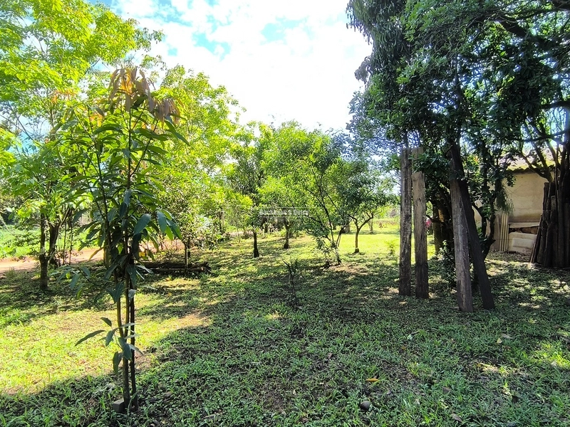 ROLANTE - CHÁCARA 3,5 HECTARES COM ARROIO - FAZENDA PASSOS: 5ª foto da galeria de imagens do imóvel