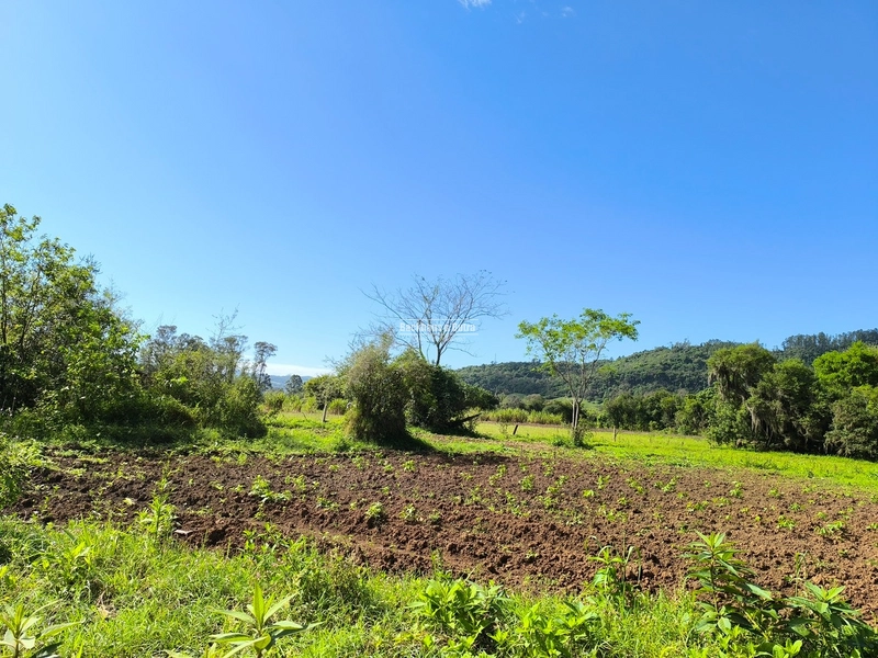 ROLANTE - CHÁCARA 3,5 HECTARES COM ARROIO - FAZENDA PASSOS: 2ª foto da galeria de imagens do imóvel