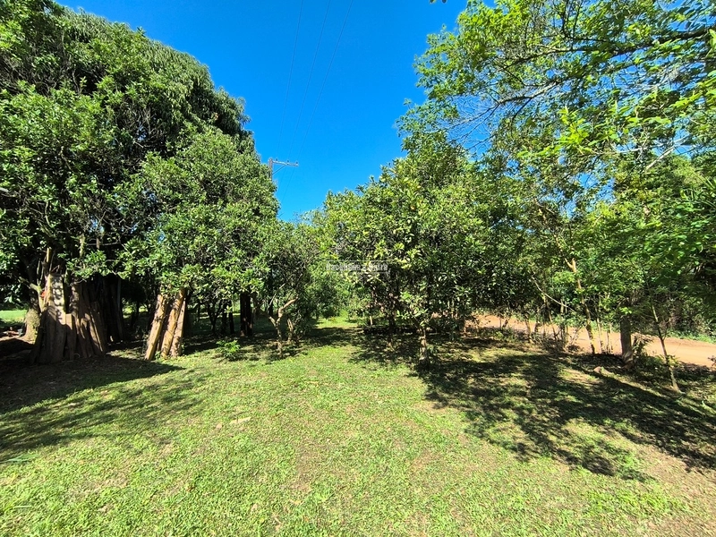 ROLANTE - CHÁCARA 3,5 HECTARES COM ARROIO - FAZENDA PASSOS: 6ª foto da galeria de imagens do imóvel