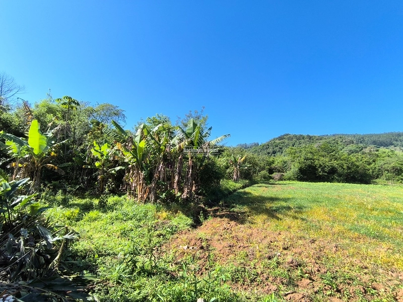 ROLANTE - CHÁCARA 3,5 HECTARES COM ARROIO - FAZENDA PASSOS: 8ª foto da galeria de imagens do imóvel