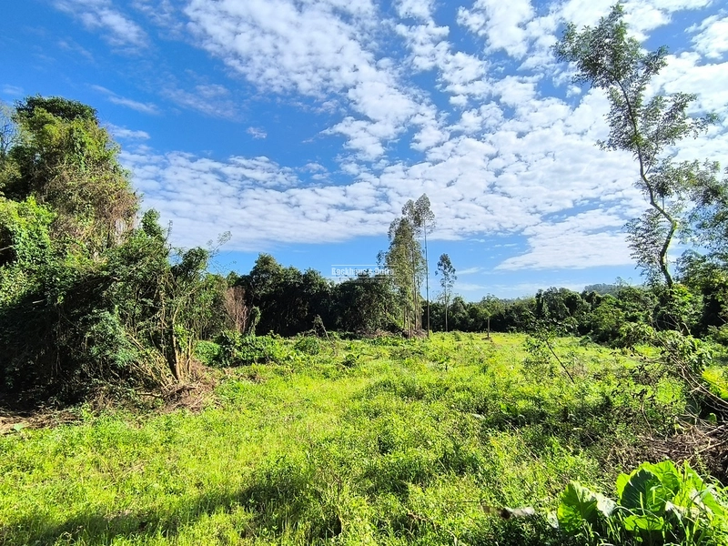 ROLANTE - CHÁCARA 3,5 HECTARES COM ARROIO - FAZENDA PASSOS: 4ª foto da galeria de imagens do imóvel