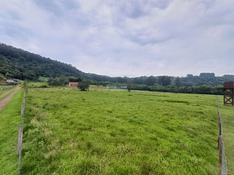 Rolante- Meio Hectare Plano- Campinas: 1ª foto da galeria de imagens do imóvel