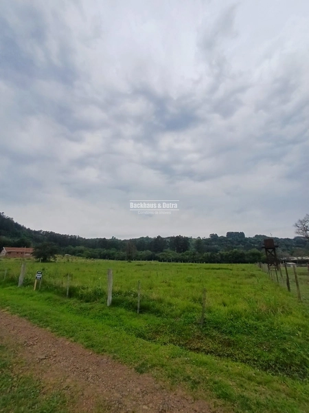 Rolante- Meio Hectare Plano- Campinas: 5ª foto da galeria de imagens do imóvel