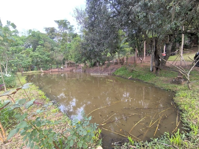 ROLANTE- CHÁCARA 2 HECTARES COM AÇUDE - CANTA GALO: 7ª foto da galeria de imagens do imóvel