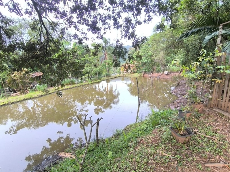 ROLANTE- CHÁCARA 2 HECTARES COM AÇUDE - CANTA GALO: 8ª foto da galeria de imagens do imóvel