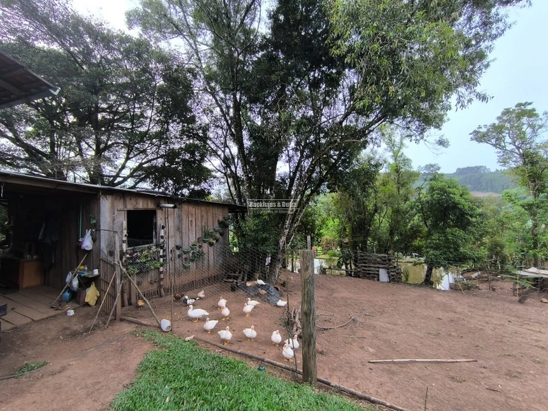 ROLANTE- CHÁCARA 2 HECTARES COM AÇUDE - CANTA GALO: 1ª foto da galeria de imagens do imóvel
