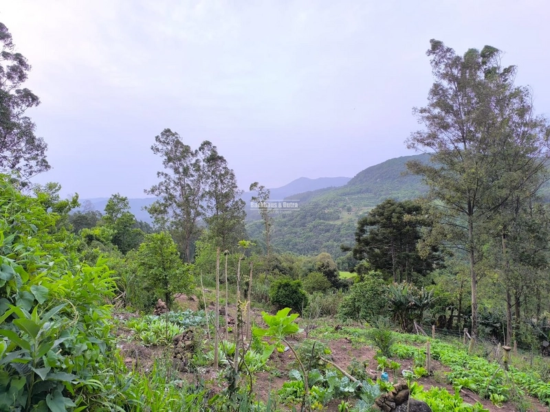 ROLANTE- CHÁCARA 2 HECTARES COM AÇUDE - CANTA GALO: 3ª foto da galeria de imagens do imóvel