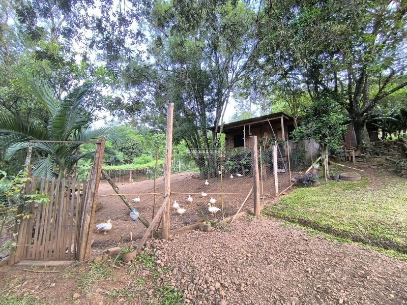 ROLANTE- CHÁCARA 2 HECTARES COM AÇUDE - CANTA GALO: 2ª foto da galeria de imagens do imóvel