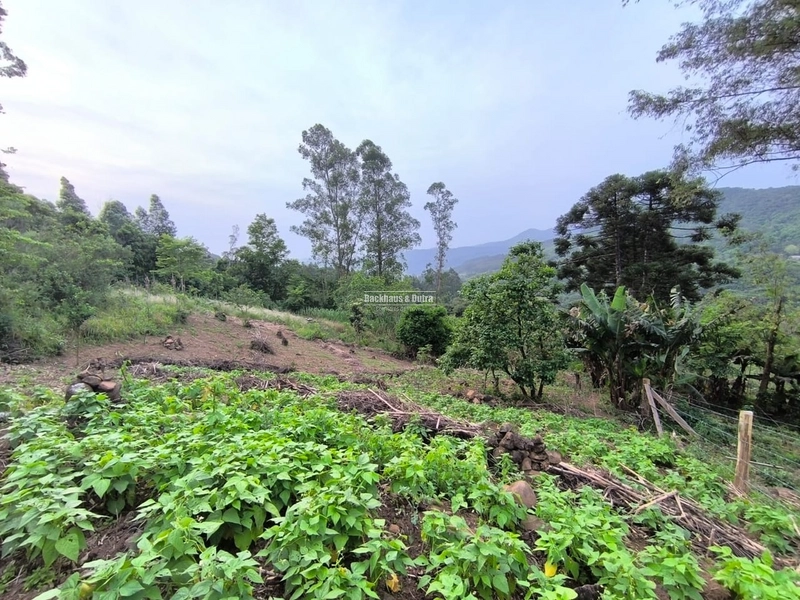 ROLANTE- CHÁCARA 2 HECTARES COM AÇUDE - CANTA GALO: 4ª foto da galeria de imagens do imóvel