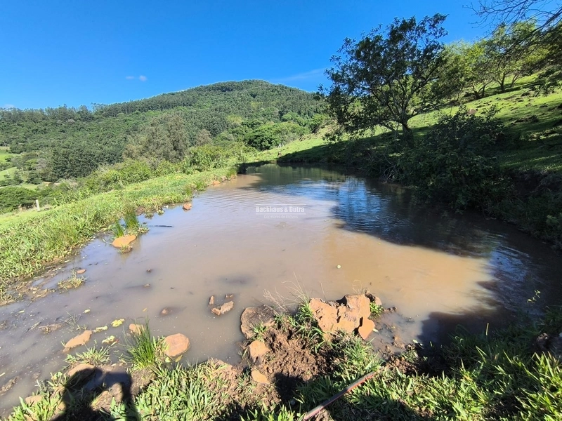 ROLANTE- CHÁCARA DE 16,4 HECTARES COM GALPÃO- FAZENDA FLECK: 5ª foto da galeria de imagens do imóvel