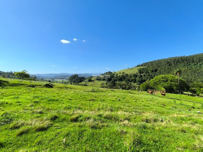 ROLANTE- CHÁCARA DE 16,4 HECTARES COM GALPÃO- FAZENDA FLECK: 3ª foto da galeria de imagens do imóvel