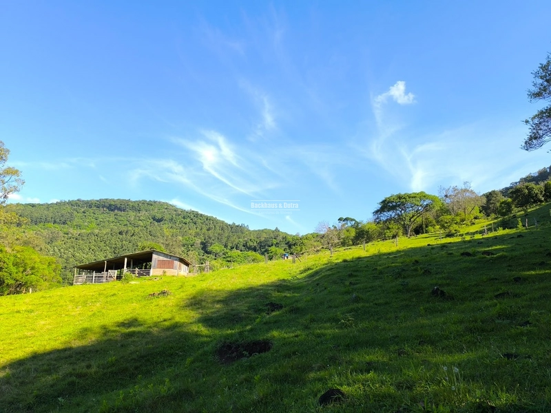 ROLANTE- CHÁCARA DE 16,4 HECTARES COM GALPÃO- FAZENDA FLECK: 6ª foto da galeria de imagens do imóvel