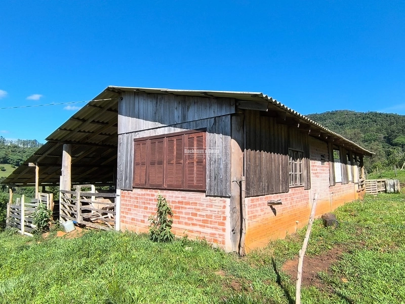 ROLANTE- CHÁCARA DE 16,4 HECTARES COM GALPÃO- FAZENDA FLECK: 2ª foto da galeria de imagens do imóvel