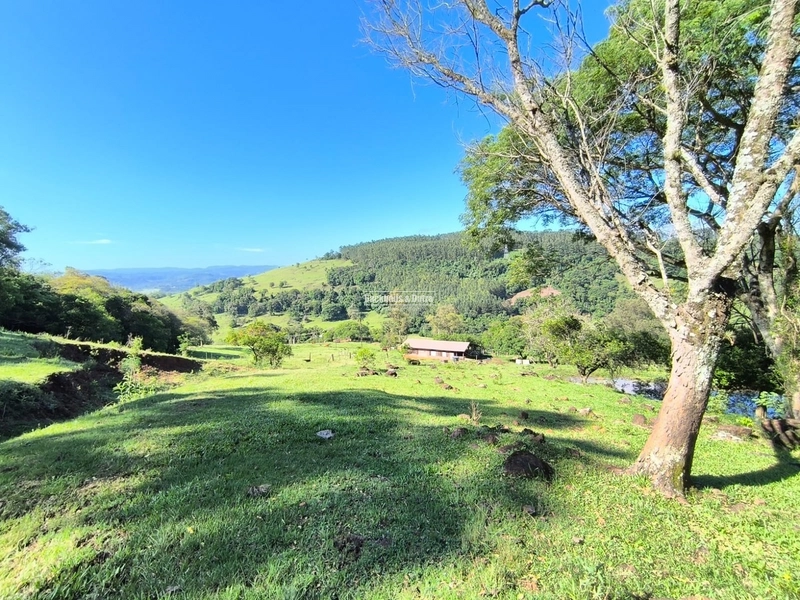 ROLANTE- CHÁCARA DE 16,4 HECTARES COM GALPÃO- FAZENDA FLECK: 1ª foto da galeria de imagens do imóvel
