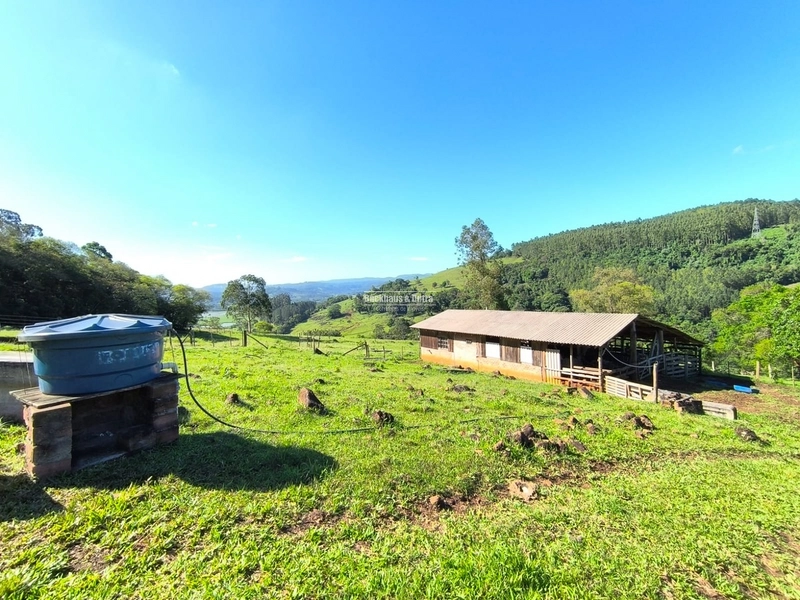 ROLANTE- CHÁCARA DE 16,4 HECTARES COM GALPÃO- FAZENDA FLECK: 4ª foto da galeria de imagens do imóvel
