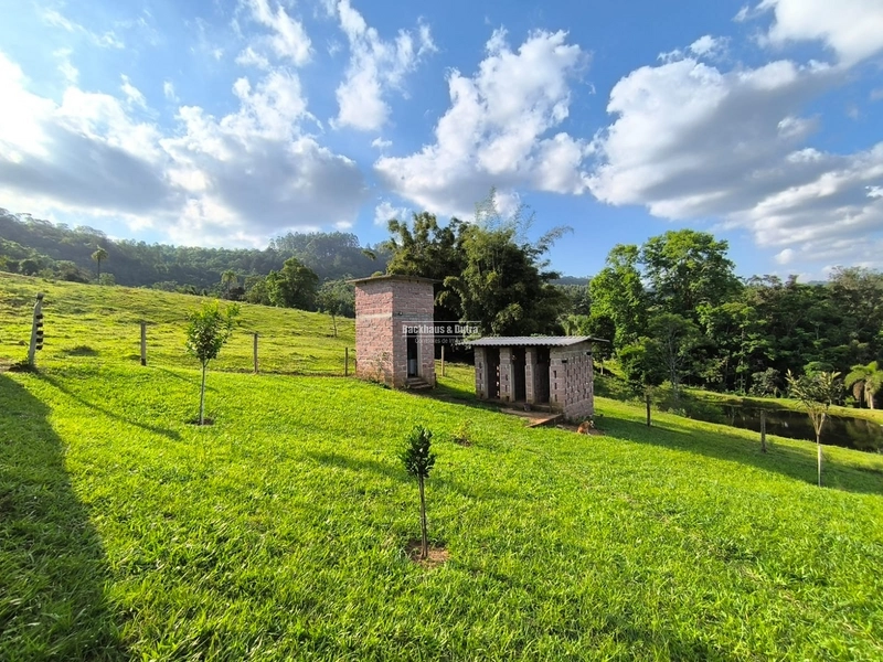 ROLANTE-CHÁCARA 3,8 HECTARES COM LINDA CASA - CAMPINAS 1: 3ª foto da galeria de imagens do imóvel
