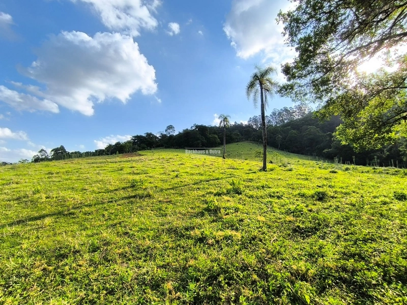 ROLANTE-CHÁCARA 3,8 HECTARES COM LINDA CASA - CAMPINAS 1: 7ª foto da galeria de imagens do imóvel