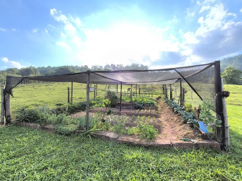 ROLANTE-CHÁCARA 3,8 HECTARES COM LINDA CASA - CAMPINAS 1: 4ª foto da galeria de imagens do imóvel