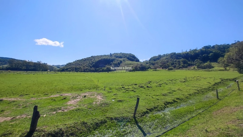 Rolante- 3 Hectares no Rolantinho: 11ª foto da galeria de imagens do imóvel