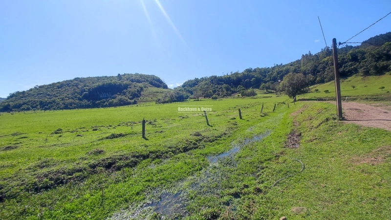 Rolante- 3 Hectares no Rolantinho: 12ª foto da galeria de imagens do imóvel