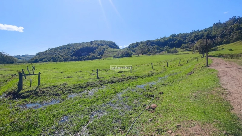 Rolante- 3 Hectares no Rolantinho: 10ª foto da galeria de imagens do imóvel