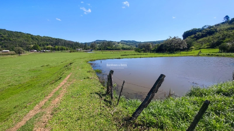 Rolante- 3 Hectares no Rolantinho: 3ª foto da galeria de imagens do imóvel