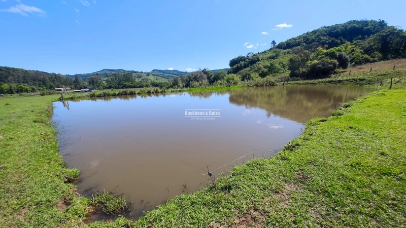 Rolante- 3 Hectares no Rolantinho: 5ª foto da galeria de imagens do imóvel