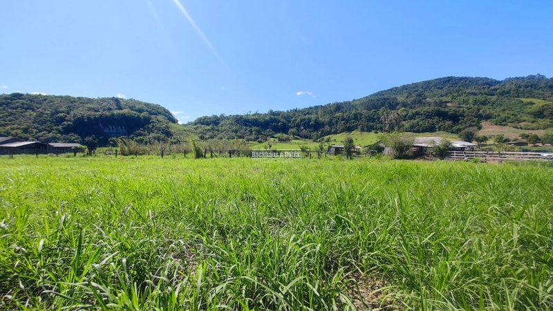 Rolante- 3 Hectares no Rolantinho: 13ª foto da galeria de imagens do imóvel