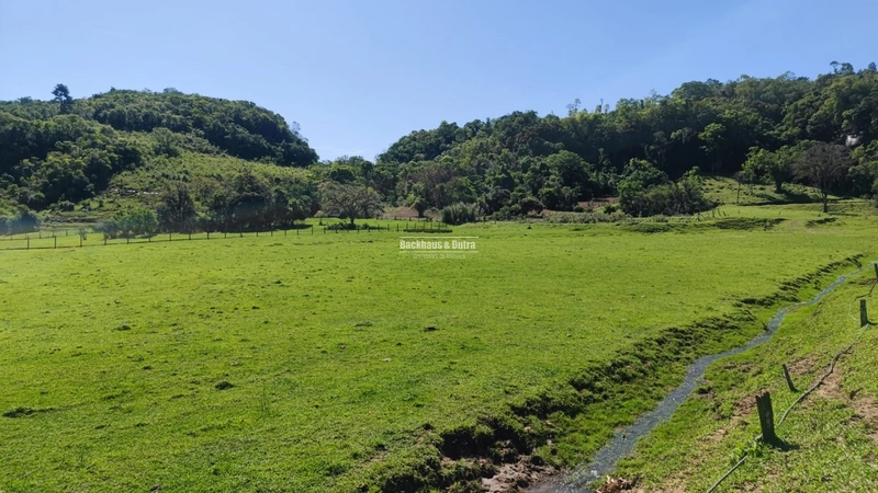 Rolante- 3 Hectares no Rolantinho: 9ª foto da galeria de imagens do imóvel