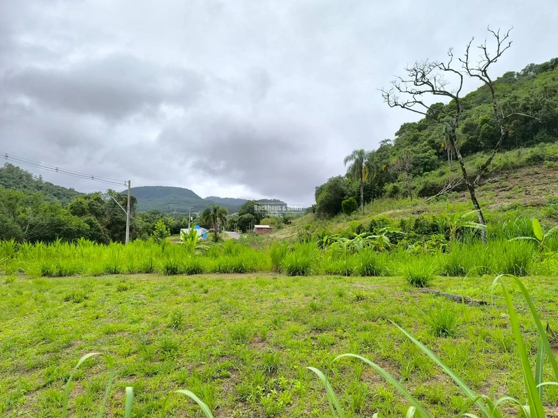 ROLANTE- 3 HECTARES AS MARGENS DA AVENIDA - ALTO ROLANTINHO: 2ª foto da galeria de imagens do imóvel