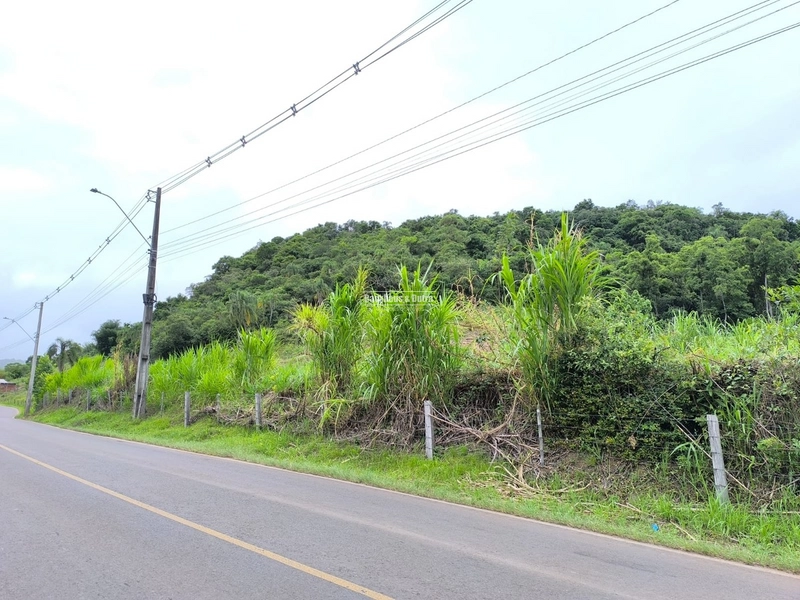 ROLANTE- 3 HECTARES AS MARGENS DA AVENIDA - ALTO ROLANTINHO: 1ª foto da galeria de imagens do imóvel