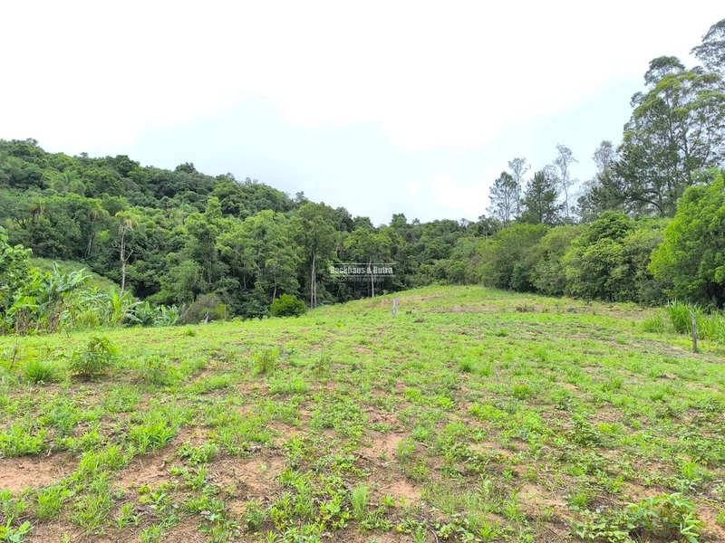 ROLANTE- 3 HECTARES AS MARGENS DA AVENIDA - ALTO ROLANTINHO: 4ª foto da galeria de imagens do imóvel