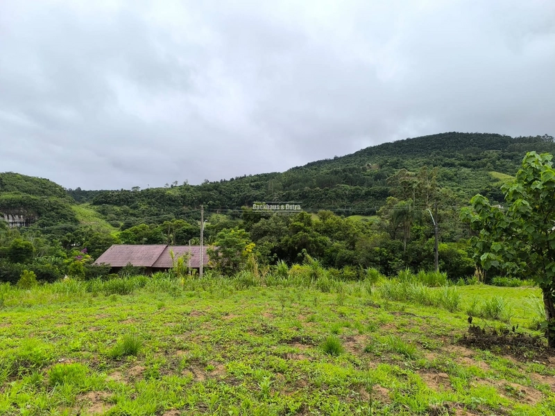 ROLANTE- 3 HECTARES AS MARGENS DA AVENIDA - ALTO ROLANTINHO: 7ª foto da galeria de imagens do imóvel