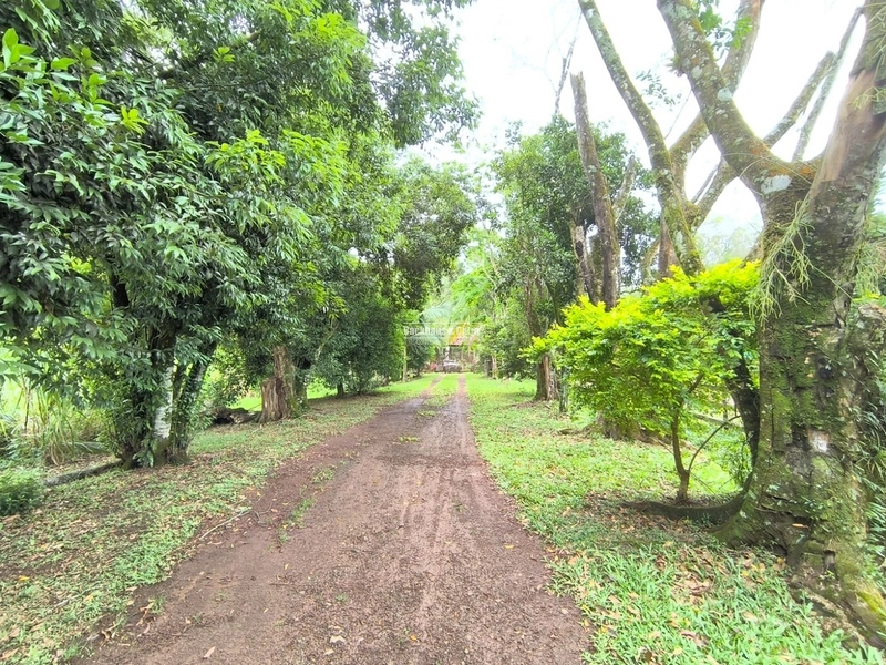 ROLANTE - CHÁCARA DE 1,8 HECTARES COM AÇUDES - ROLANTINHO: 5ª foto da galeria de imagens do imóvel