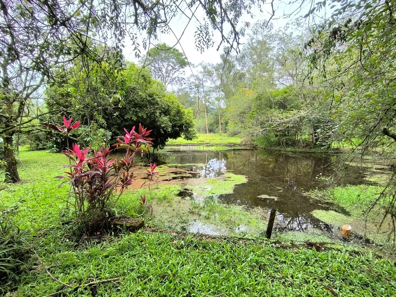 ROLANTE - CHÁCARA DE 1,8 HECTARES COM AÇUDES - ROLANTINHO: 3ª foto da galeria de imagens do imóvel