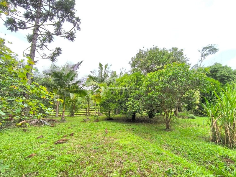 ROLANTE - CHÁCARA DE 1,8 HECTARES COM AÇUDES - ROLANTINHO: 4ª foto da galeria de imagens do imóvel