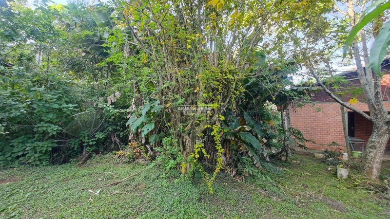 Rolante - 5.3 hectares - Glória: 7ª foto da galeria de imagens do imóvel