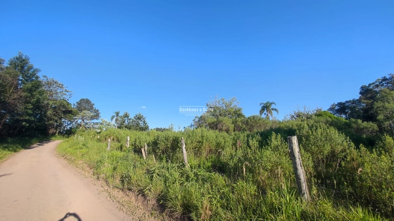 Rolante - 5.3 hectares - Glória: 6ª foto da galeria de imagens do imóvel