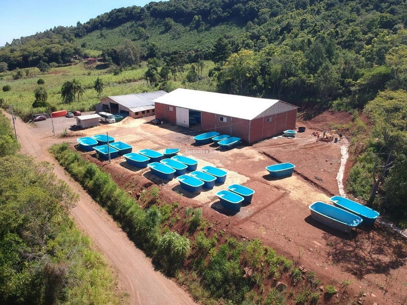 Taquara - Pavilhões industriais / Taquara: 2ª foto da galeria de imagens do imóvel