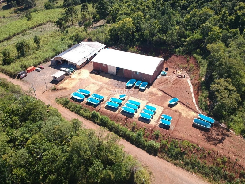 Taquara - Pavilhões industriais / Taquara: 4ª foto da galeria de imagens do imóvel