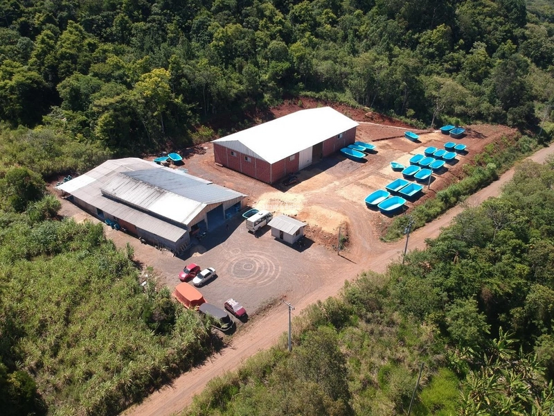 Taquara - Pavilhões industriais / Taquara: 1ª foto da galeria de imagens do imóvel