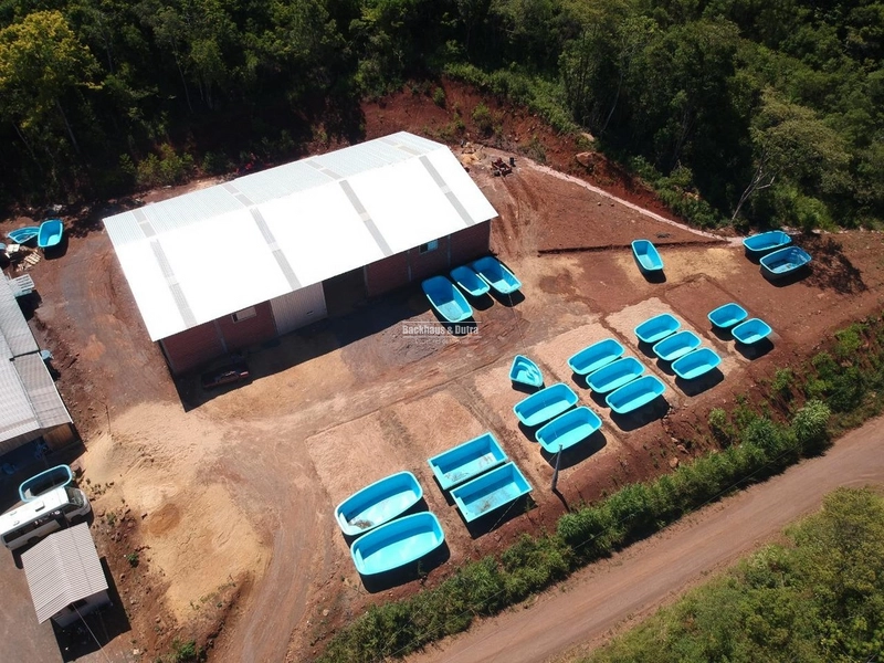 Taquara - Pavilhões industriais / Taquara: 5ª foto da galeria de imagens do imóvel